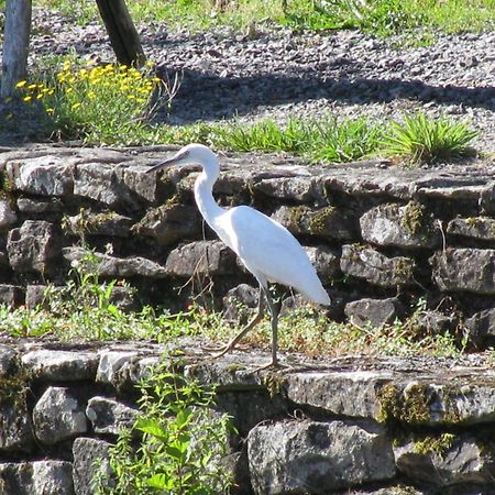 River Cottage Balledent Exterior foto